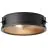 Brilliant Zois Luz de techo Metal Negro | 340mm - Apta para 2x E27