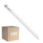 Multipack 10x Philips Master Tubo LED T8 (EM/Mains) High Output T8 7.6W 1150lm - 840 Blanco Frio | 60cm - Reemplazo 18W